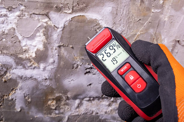 Best Mold Removal Company Near Me  in Helena Valley Northwest, MT